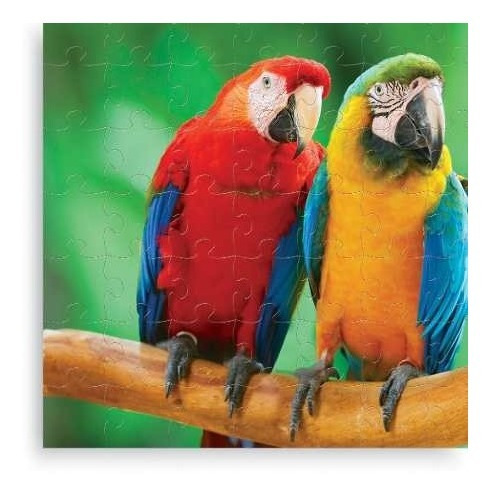 Juegos Didacticos Puzzle Loros Papagayos Duravit 39