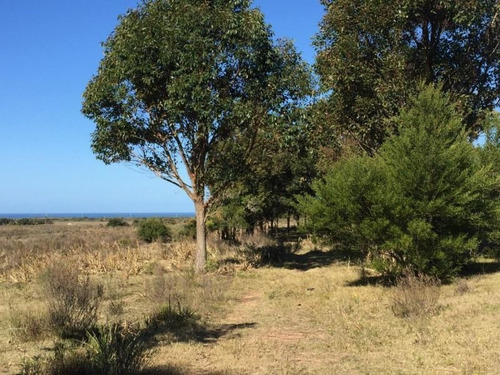 Quinta En Venta En La Rinconada