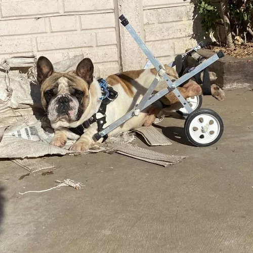 Carrito Para Perros Y Gatos Hasta 15kg