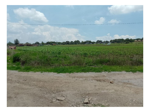 Imagen 2 de 8 de Se Vende Terreno En San Miguel Tepotzotlán