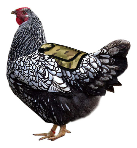 3 Sillas De Montar Para Pollo, Silla De Gallina Violeta