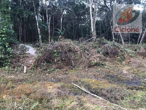 Chácara Com 1 Dormitório À Venda, 2400 M² Por R$ 65.000,00 - Chácara São Fernando - Itanhaém/sp - Ch0019
