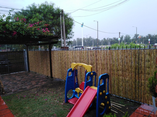 Instalacion Cercos En Caña Entera Lagomar