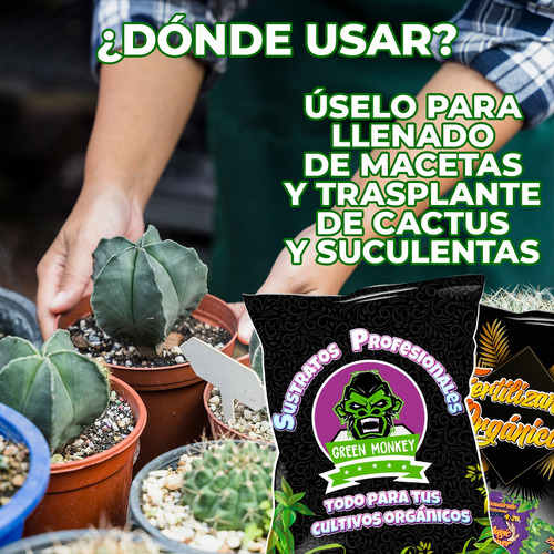Sustrato Cactus Suculentas Con Fertilizante
