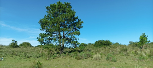 Chacra 5,6 Hectareas Ideal Emprendimiento Turístico