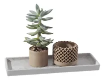 Comprar Maceta Diseño Moderno Corte Cuadro Dos Partes Suculenta 3d