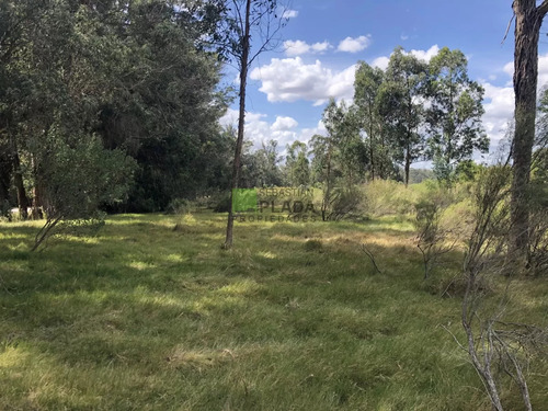 Lote Esquinero 1229 Metros Cobre Camino Eguzquiza En Venta En El Tesoro
