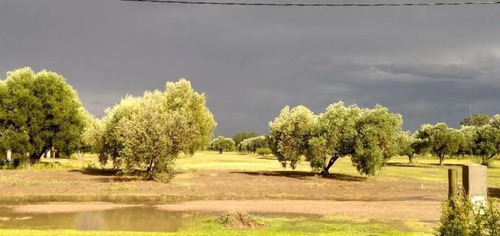 Imagen 2 de 7 de Terreno - San Rafael