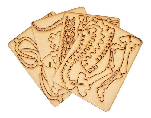 Imagen 2 de 5 de Para Armar - Xion Games Dinosaurios - Jobaria