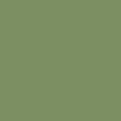 Pintura Acrílica Verde Interior Raf Modelos Miommp079