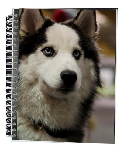 Cuaderno Personalizado / Book-dog