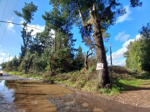 Los Espinos Km 11 Camino A Coihueco