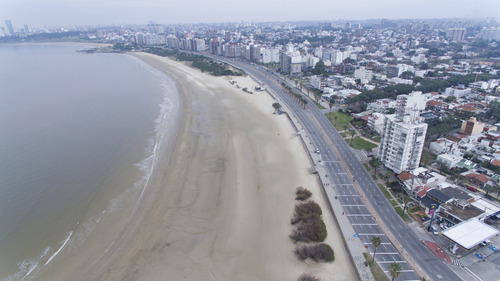 Venta Apartamento 1 Dormitorio Buceo Move City