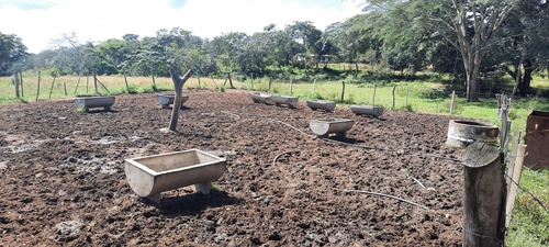 Imagen 14 de 14 de Se Vende Finca 72 Has Orilla De Carretera Manzanita