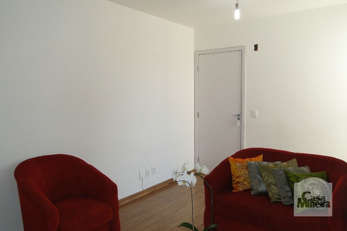 Imagem 3 de 15 de Apartamento À Venda No Linda Vista - Código 375127 - 375127