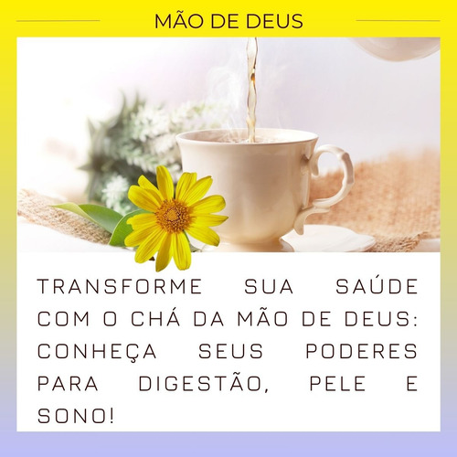 20 Chás Mão De Deus | Orgânica Autêntico 100% Puro Para Chá