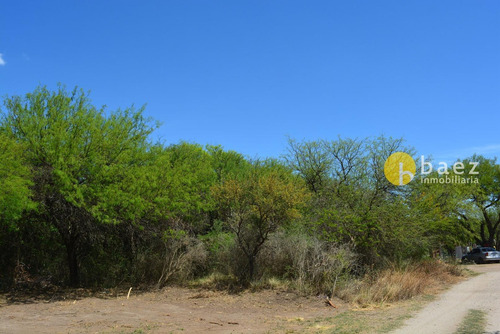 Lote De 537 M2 En Carpintería