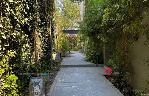 Casa De Lujo En Virreyes Lomas De Chapultepec Cdmx