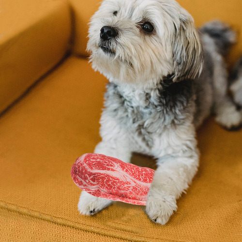 2 Juguetes Interactivos Para Perros Y Mascotas, Accesorios D