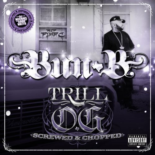 Resultado de imagem para Bun B, Trill OG"