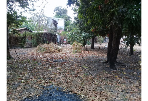 Extenso Terreno En San Jose Teran
