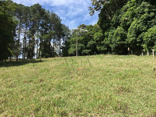 Imagem 12 de 30 de Chácara Para Venda No Bairro Pinhal Em Piracaia Sp - Ch00031 - 67721189