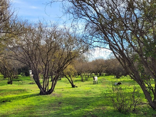 Parcela En Venta En Melipilla