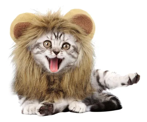 Divertida Peluca De Melena De León De Gato Lindo Con M