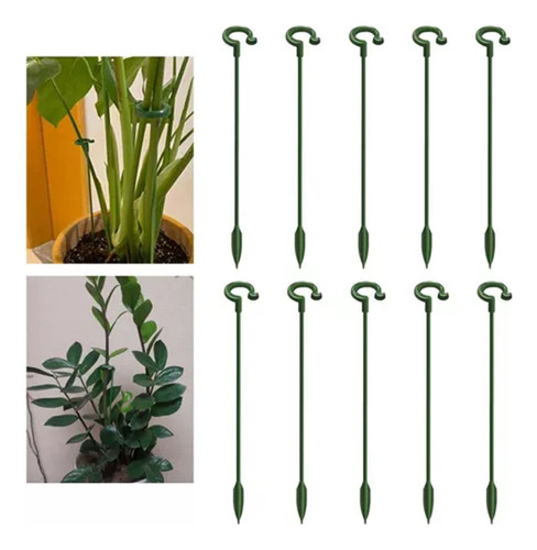 10 Peças Para Tutoria De Orquídeas, Suporte De Caule, Anéis