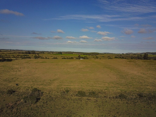 Campo En Venta