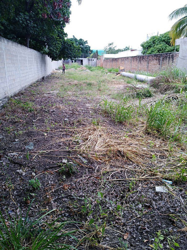 Imagen 11 de 13 de Terreno En Vta. Al Pte De Tuxtla Blvd. Belisario Dmgz