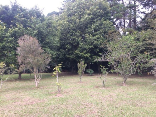 Imagem 28 de 30 de Chacará Á Venda Em Ribeirão Pires /sp ( (ouro Fino Paulista) ) - Ch00003 - 34967561