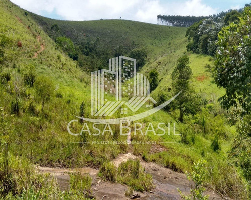 Imagem 8 de 30 de Sítio 35 Alqueires À Venda - Sao Jose Dos Campos - Sp - 393