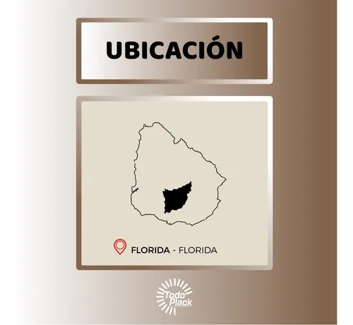 Pomo Para Puerta Con Llave Plateado