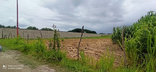 Terreno En Venta Santa Cruz De Aragua Fm*
