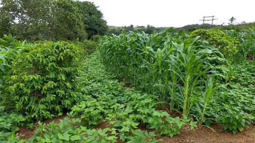 Propriedade Rural Lazer E Produção Excelente Localização