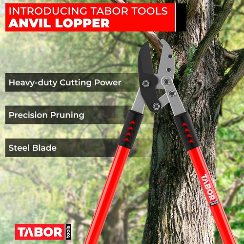 Tabor Tools Gg12a Podadora De Yunque Con Acción Compuesta, P