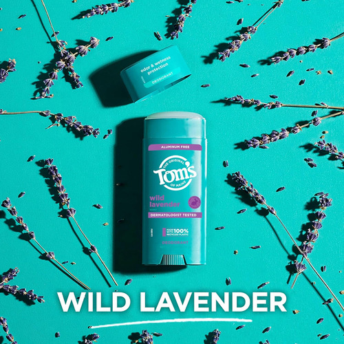 Toms Of Maine Deodorant Wild Lavender 92g