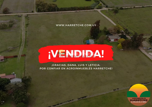 Venta De Chacra El Colorado  4 Dormitorios 1.8 Has 