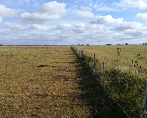 Terreno  En Venta Ubicado En Punta Indio, Resto De La Provincia, Buenos Aires