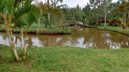 Imagem 9 de 12 de Chácara Com Piscina E 3 Quartos Em Peruíbe-sp 7828pc