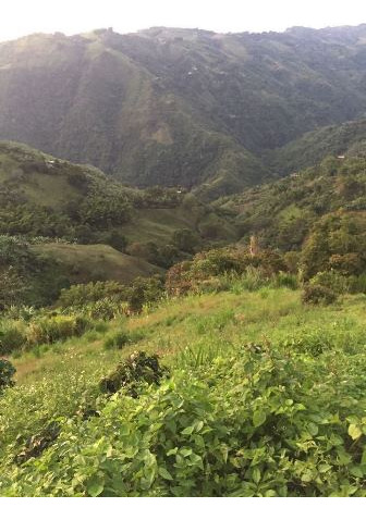 Finca En Venta En Alta Bonito (17458).