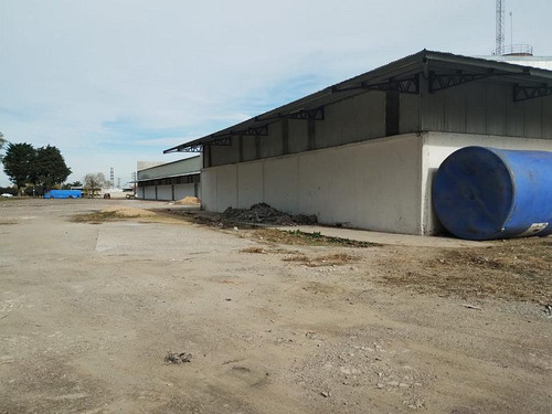 Deposito De 7.000m2 En Planta Con Frente Sobre Avda Antartida Argentina De 100 Ml, Techos Metalicos