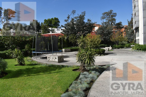 Departamento Amueblado En Renta En Residencial San Angel Olivar De Los Padres Alvaro Obregón
