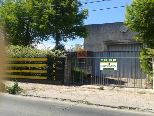 Gran Local Con Posibilidad De Anexar Predio Lindero En Malvin- Ref: 1044