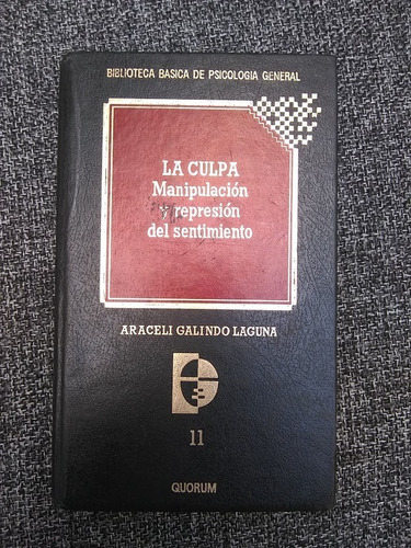 La Culpa. Araceli Galindo Laguna.