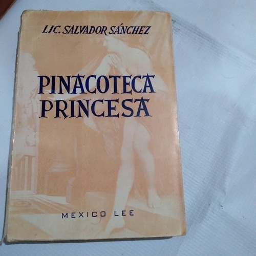 Pinacoteca Princesa - Salvador Sánchez (Usado)