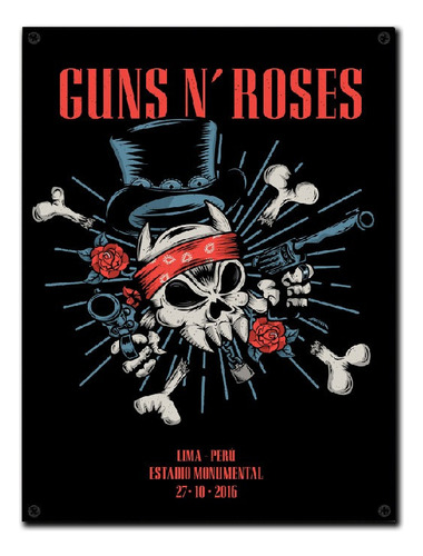 #256 - Cuadro Vintage 21 X 29 Cm / Guns N' Roses Rock Poster