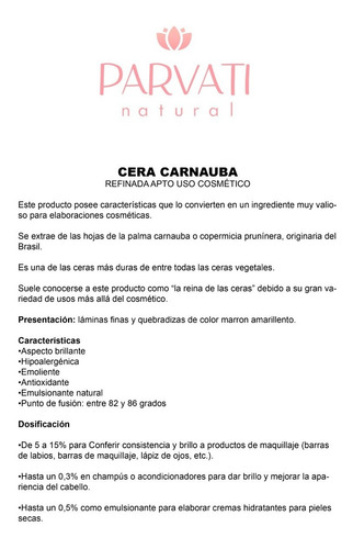 Cera Carnauba (de Hojas De Palma) 100grs
