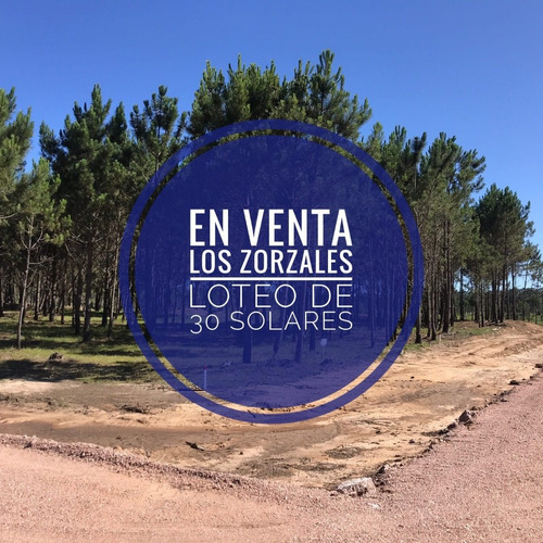 Imagen 1 de 9 de En Venta - Los Zorzales - Loteo De 30 Solares - Mza 423